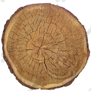 Wood end textures