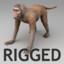 3d model rhesus macaque rigged biped