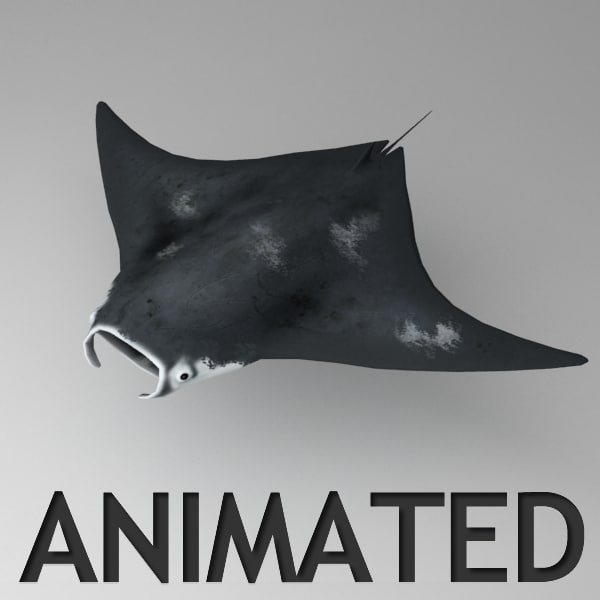 Rigged Manta Animation 3d Max