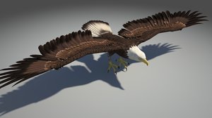 3d model eagle bird