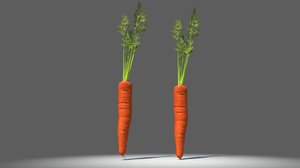 3d carrot