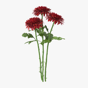 3d red bouquet chrysanthemum -
