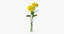 yellow chrysanthemum bouquet - 3d model