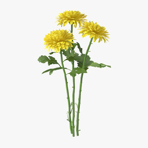 yellow chrysanthemum bouquet - 3d model