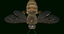 rigged bee 3d obj
