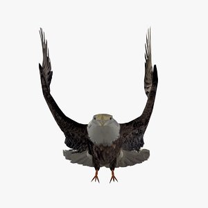 c4d flying grey eagle catching