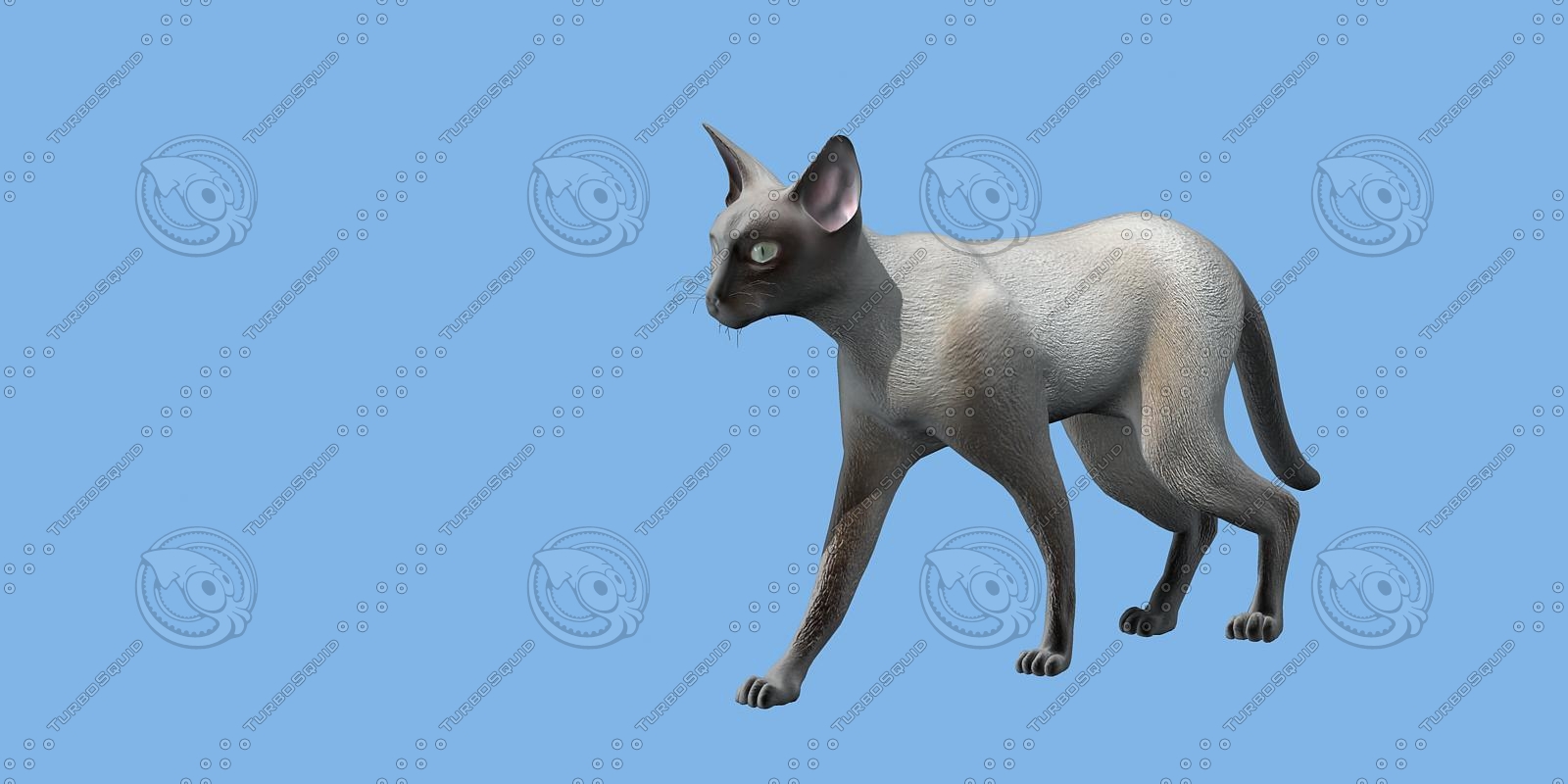 猫3d模型