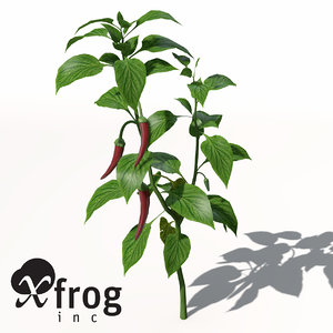 3d xfrogplants chili pepper plant