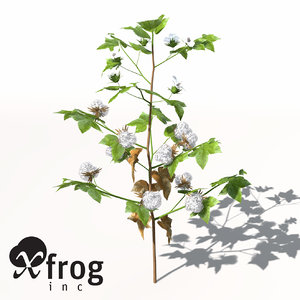 3ds xfrogplants cotton plant