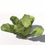xfrogplants lettuce plant 3d model