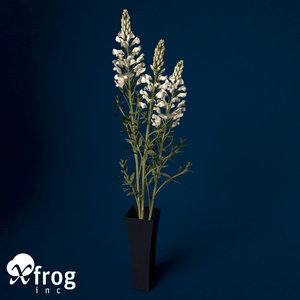 3d model of snapdragon plant flowers