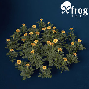 3d model marigold flower