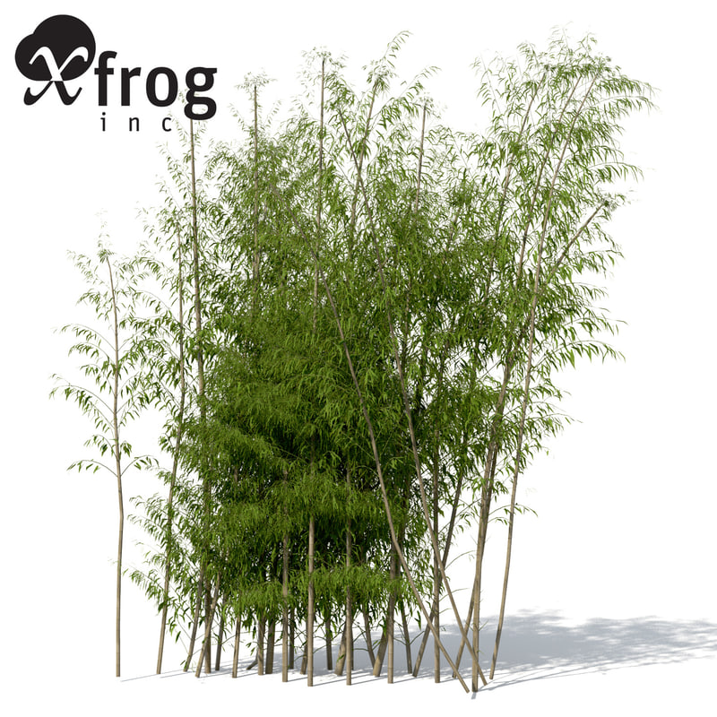 golden bamboo plant 3d max