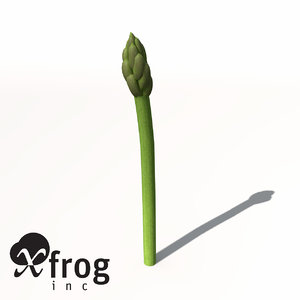 asparagus plant 3d model