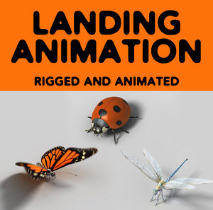 3d animation landing model
