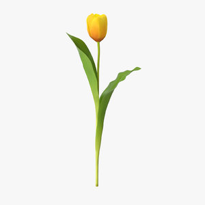 3d model tulip yellow -