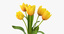 3d tulips yellow -