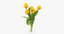 3d tulips yellow -