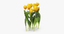 3d model tulips yellow - grouped