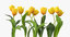 3d model tulips yellow - grouped