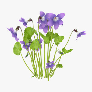 max violet natural group -