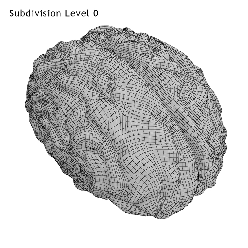 realistic brain 3d max