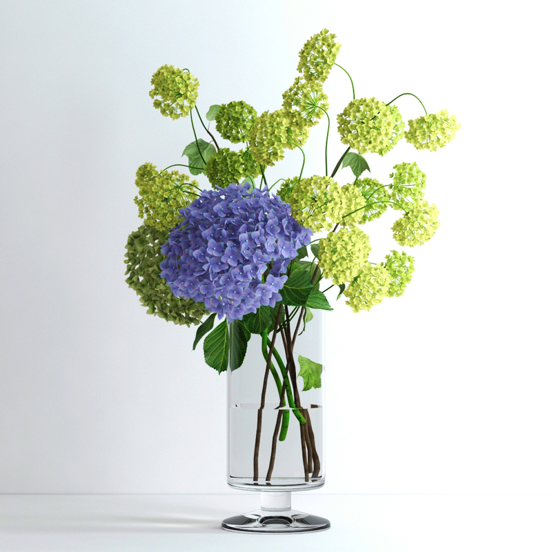 realistic viburnum hydrangea flowers ma