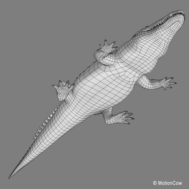 3d Realistic Alligator