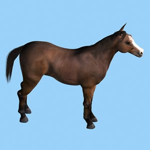 3d model horse