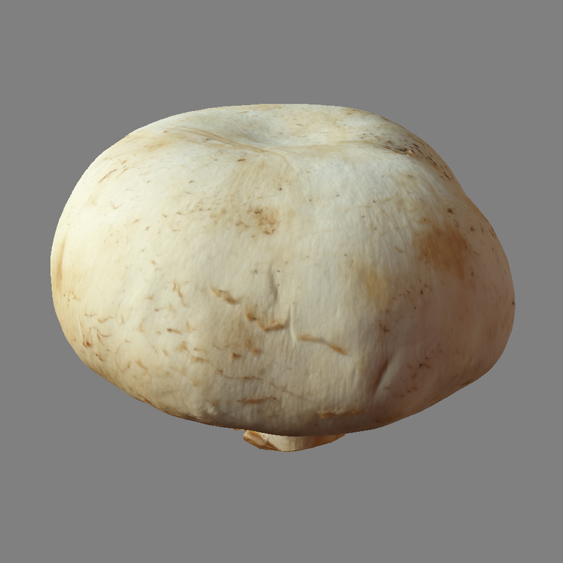 3d Model Mushroom