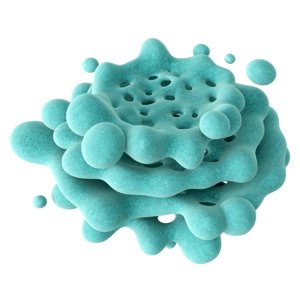 biology microbe 3d model