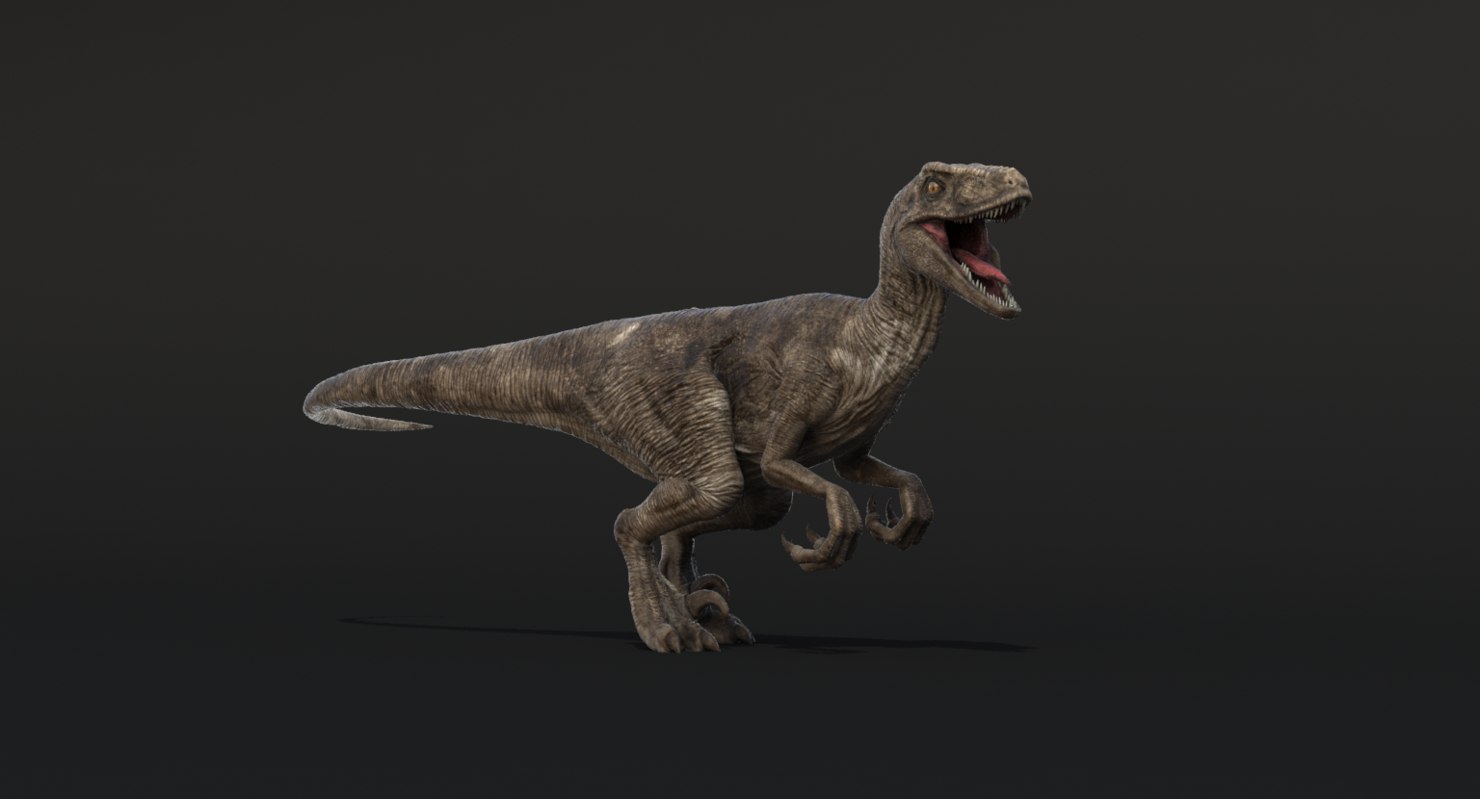 raptor dinosaur 3d