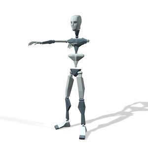 Exercise gym squat loop