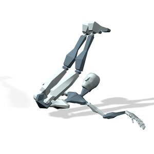 Exercise gym raise legs  crunch