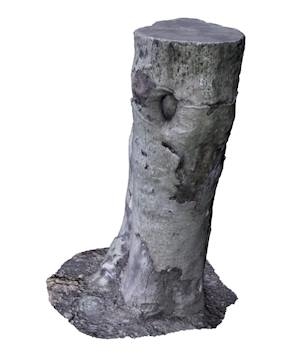 3ds realistic tree stump