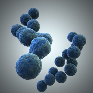 streptococcus 3d max