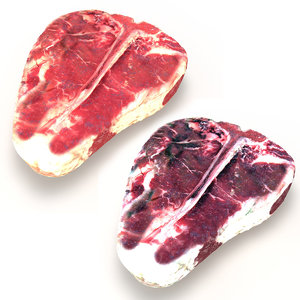 3d model realistic raw dry aged