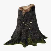 Tree Stump 3D Models and Textures | TurboSquid.com