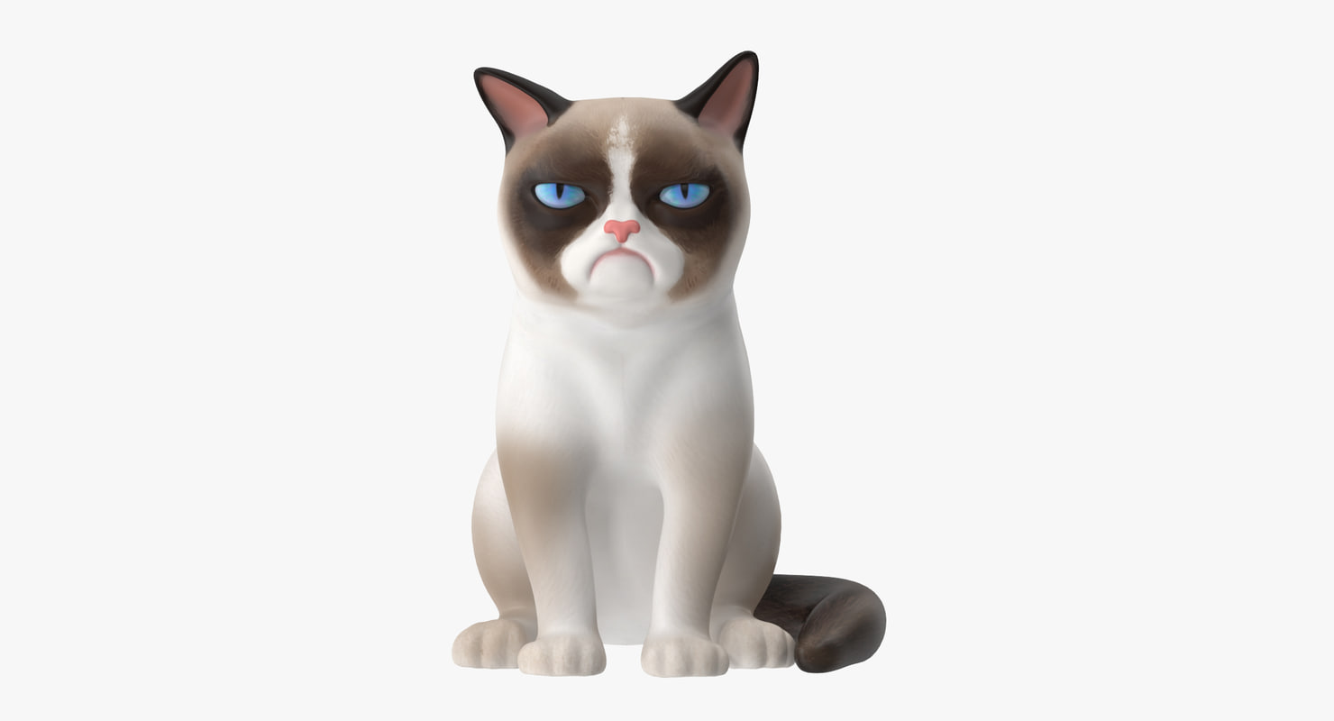 grumpy cat  3d  model 