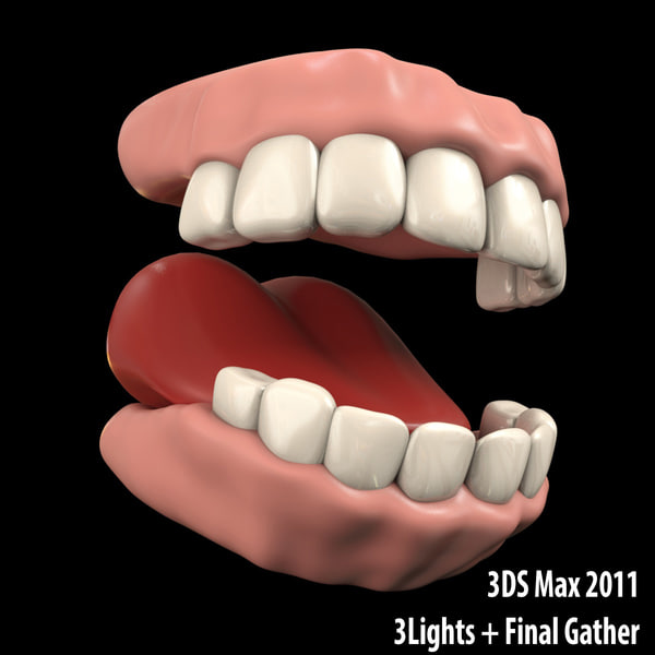 3D модель Зубы - TurboSquid 1042161