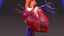 3d model of infected circulatory
