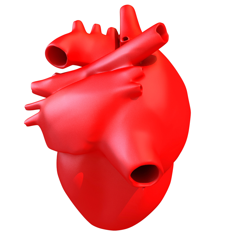 human heart 3d drawing