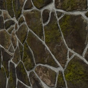 3d model mossy stone wall ground tiles