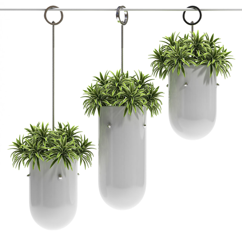 hanging pots  3d  model