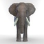 3d elephants 2 model