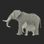 3d elephants 2 model