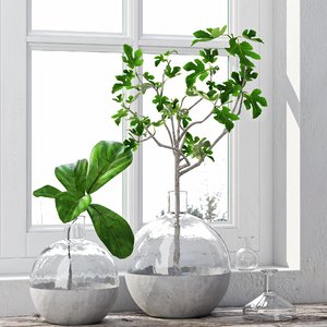 fig plants 3d model
