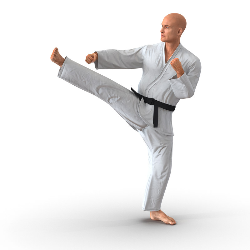 karate fighter pose 2 3d model