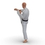 karate fighter pose 2 3d model