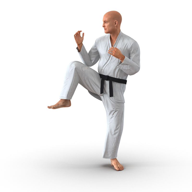 karate fighter pose 3 3d model